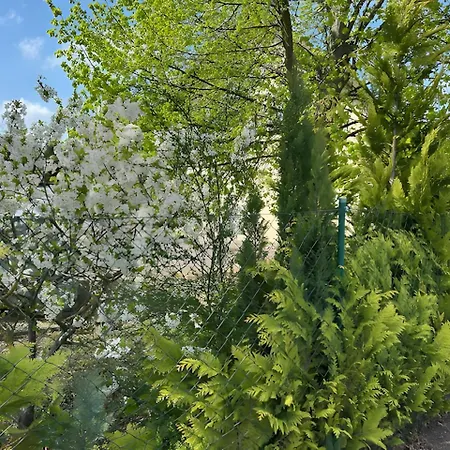 Pension Hettstedt Apartament