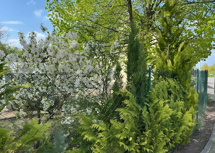 Pension Hettstedt Daire